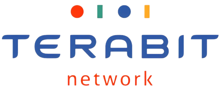 Terabit Network